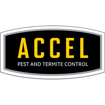 accel pest termite control logo 2