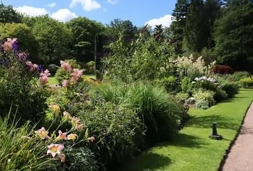 An established garden with full beds and a long lawn