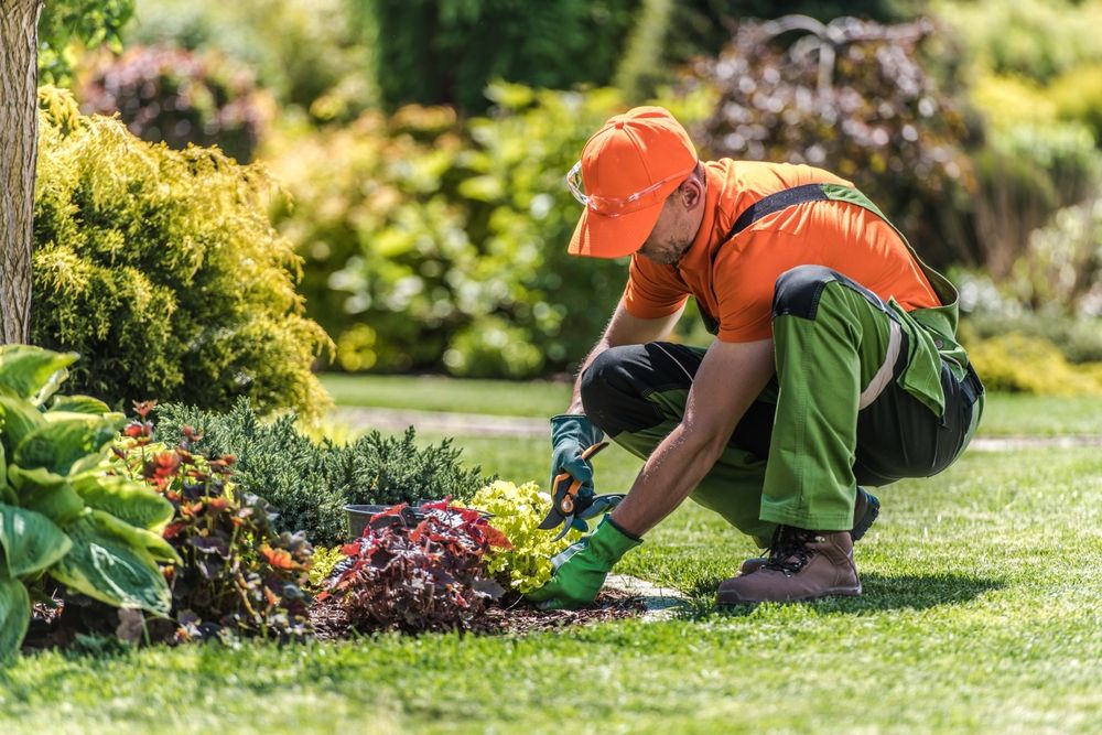 A landscaper planting a flower bed in the fall